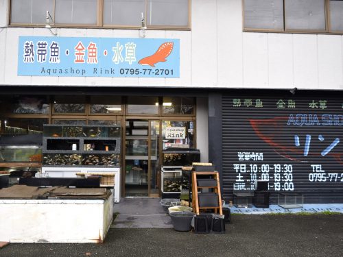 熱帯魚 金魚 水草 ハ虫類の専門店 丹波市商工会